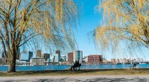 Couple sitting on a bench at the river looking at a city skyline. (Generated with AI)