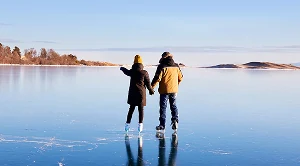 A couple side by side ice skating in the winter. (Generated with AI)