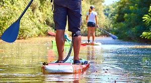 A couple paddleboarding on a lake. (Generated with AI)