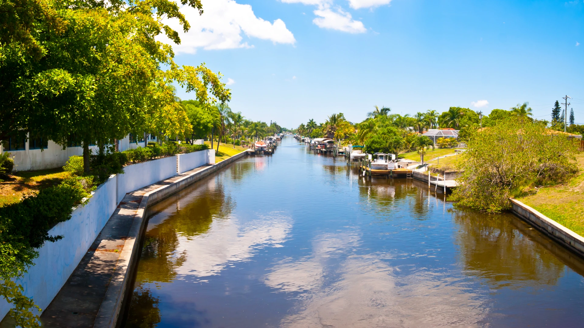 A lake with greenery on its sides in Cape Coral. (Generated with AI)